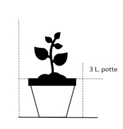 Alunrod 'Paris' Heuchera Hybrid 'Paris' 3,0 Liter Potte -Sirius Butik 198 3 0 liter potte 21ae 22