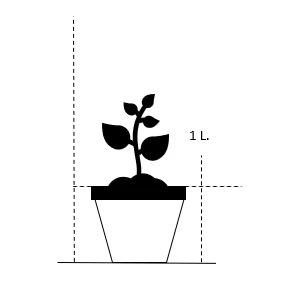Knoldet Mjødurt Filipendula Vulgaris 1 Liter Potte 2 Knoldet Mjødurt Filipendula Vulgaris 1 Liter Potte - Billede 2