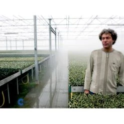 Kristtorn Ilex Aquifolium Med Klump,- 150-175 Cm. -Sirius Butik fi15282 ilex aquifolium 56c6