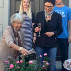 'Lise Nørgaard'™ Rosa X 'Lise Nørgaard'™ (Buketrose) A-Kvalitet,- Barrods Roser Min. 3 Grene -Sirius Butik p19466 51606 rosa x lise noergaard buketrose a834