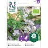 Blå Honningurt Øko Phacelia Tanacetifolia Frøpose, Antal Pr. Pakke, Ca. 40 Stk.