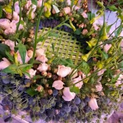 'Royal Copenhagen'™ Rosa X 'Royal Copenhagen'™ (Storblomstrende) A-Kvalitet,- Barrods Roser Min. 3 Grene -Sirius Butik p2066 51378 rosa x royal copenhagen storblomstrende 6ab7