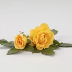 'Flaming Cover'® Rosa X 'Flaming Cover'® (Bunddækkerose) A-Kvalitet,- Barrods Roser Min. 3 Grene -Sirius Butik p23637 51959 rosa x flaming cover bunddaekkerose 1d2c