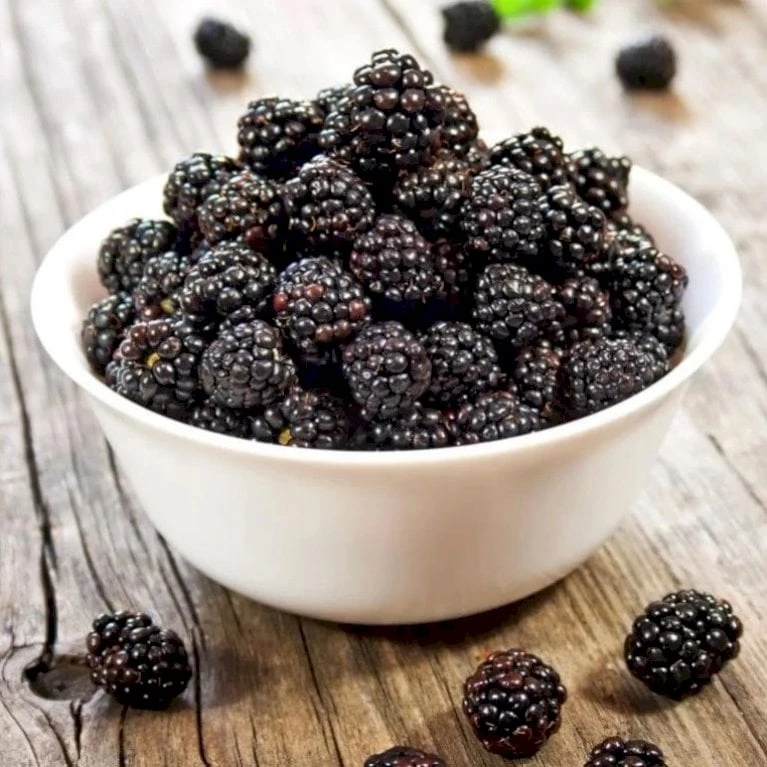 Brombær 'Thornless Evergreen' Rubus Fruticosus 'Thornless Evergreen' Potte 3,0 Liter,- Opbundet 2 Brombær 'Thornless Evergreen' Rubus Fruticosus 'Thornless Evergreen' Potte 3,0 Liter,- Opbundet - Billede 2