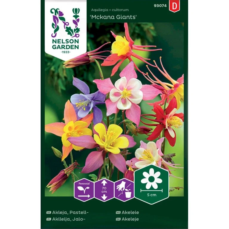 Akeleje 'Mckana Giants' Mix Aquilegia × Cultorum 'Mckana Giants' 1 Akeleje 'Mckana Giants' Mix Aquilegia × Cultorum 'Mckana Giants'