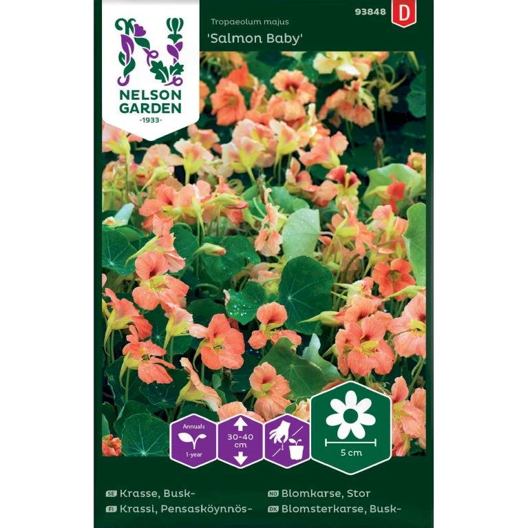 Buskblomsterkarse 'Salmon Baby' Tropaeolum Majus 'Salmon Baby' 1 Buskblomsterkarse 'Salmon Baby' Tropaeolum Majus 'Salmon Baby'