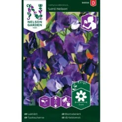 Ærteblomst 'Lord Nelson' Lathyrus Odoratus L. 'Lord Nelson'