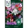 Ærteblomst 'Royal Mix' Big Pack Lathyrus Odoratus L. 'Royal' Mix