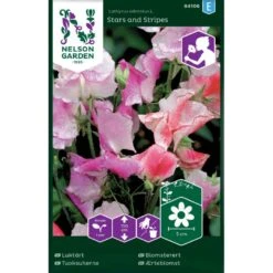 Ærteblomst 'Stars And Stripes' Mix Lathyrus Odoratus L. 'Stars And Stripes' Mix