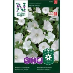 Mamelukærme 'Mont Blanc' Lavatera Trimestris L. 'Mont Blanc'