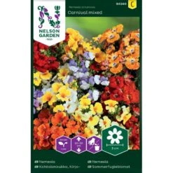 Sommerfugleblomst 'Carnival' Mix Nemesia Strumosa 'Carnival' Mix