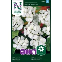 Pelargonie 'Inspire White' F1 Pelargonium X Hortorum 'Inspire White' F1
