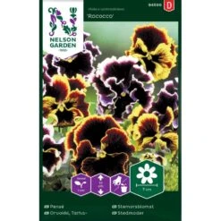 Stedmoder 'Rococo' Mix Viola X Wittrockiana 'Rococco'