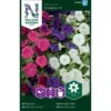 Minipetunia 'Picobella' F1 Mix Petunia Hybrida 'Picobella' F1
