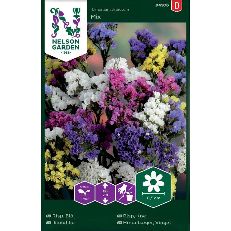 Vinget Hindebæger Mix Limonium Sinuatum Mix 1 Vinget Hindebæger Mix Limonium Sinuatum Mix