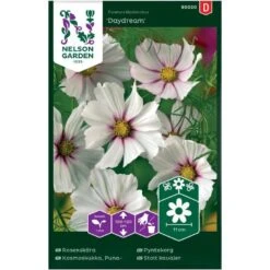 Stolt Kavaler 'Daydream' Cosmos Bipinnatus 'Daydream'