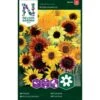 Høj Solsikke 'Wilde Mixture' Helianthus Annuus 'Wilde Mixture'
