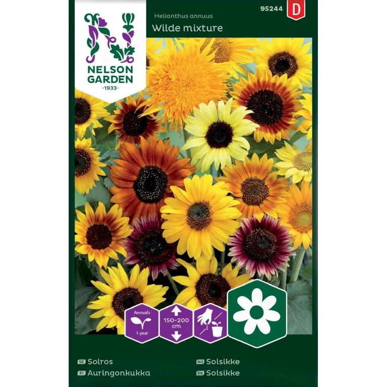Høj Solsikke 'Wilde Mixture' Helianthus Annuus 'Wilde Mixture' 1 Høj Solsikke 'Wilde Mixture' Helianthus Annuus 'Wilde Mixture'