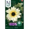Høj Solsikke 'Ice Cream' Helianthus Debilis 'Ice Cream'