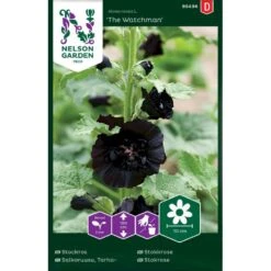 Stokrose 'The Watchman' Alcea Rosea L. 'The Watchman'