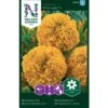 Stor Fløjlsblomst 'First Lady' F1 Tagetes Erecta 'First Lady' F1