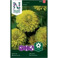 Frøkenhat 'Envy' Zinnia Elegans 'Envy'