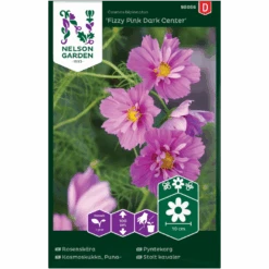 Stolt Kavaler 'Fizzy Pink Dark Center' Cosmos Bipinnatus 'Fizzy Pink Dark Center'