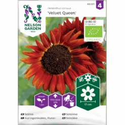 Solsikke 'Velvet Queen' Øko Helianthus Annuus 'Velvet Queen' Frøpose, Antal Pr. Pakke, Ca. 20 Stk.