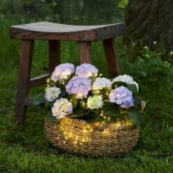 Knirke LED Cluster Med Stik Sirius Knirke Cluster 160 LED, 2m Lang -Sirius Butik p35116 53759 sirius knirke cluster d83b