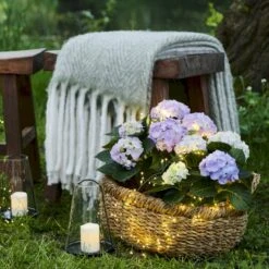 Knirke LED Cluster Med Stik Sirius Knirke Cluster 160 LED, 2m Lang -Sirius Butik p35116 53760 sirius knirke cluster 0bb2