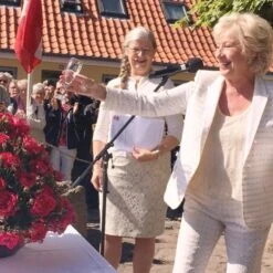 'Birthe Kjær™ Renaissance'® Rosa X 'Birthe Kjær™ Renaissance'® (Renaissancerose) A-Kvalitet,- Barrods Roser Min. 3 Grene -Sirius Butik p35345 52118 rosa x birthe kjaer renaissance renaissancerose 876e