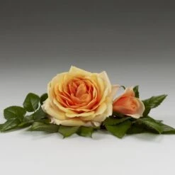 'Sarai™ Hit'® Rosa X 'Sarai™ Hit'® (Miniaturerose) A-Kvalitet,- Barrods Roser Min. 3 Grene -Sirius Butik p35436 52057 rosa x sarai hit miniaturerose 7fbd