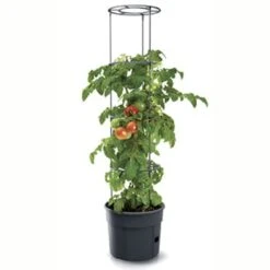 Tomatpotte 12 Liter Tomatpotte Inkl Espalien