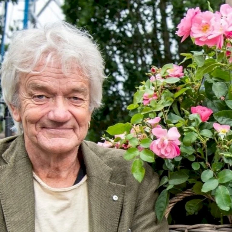 'Lars Lilholt' Rosa X 'Lars Lilholt' (Buketrose) A-kvalitet,- Pottede Roser 1 'Lars Lilholt' Rosa X 'Lars Lilholt' (Buketrose) A-kvalitet,- Pottede Roser