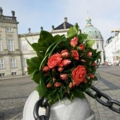 'Prinsesse Marie' Rosa X 'Prinsesse Marie' (Storblomstrende) A-Kvalitet,- Barrods Roser Min. 3 Grene -Sirius Butik p5265 51362 rosa x prinsesse marie storblomstrende 75a7