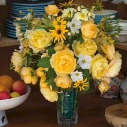 'Charles Darwin'™ Rosa X 'Charles Darwin'™ (Engelsk Rose) A-Kvalitet,- Barrods Roser Min. 3 Grene 14 'Charles Darwin'™ Rosa X 'Charles Darwin'™ (Engelsk Rose) A-Kvalitet,- Barrods Roser Min. 3 Grene -Sirius Butik p5351 52959 rosa x charles darwin engelsk rose b2dc